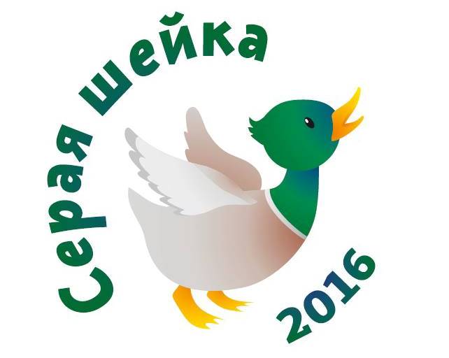 "Серая шейка-2016" 