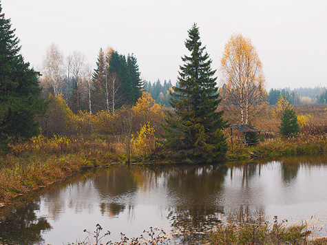 Фото Ильи Липина Фото Ильи Липина