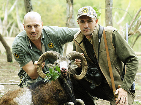 Минимальная площадь охотугодий для создания охотничьего хозяйства в Болгарии составляет 75 га, а в охотничьей дружине должно работать не менее 20 охотников.