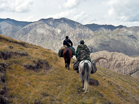 Лошади для горных охот должны подбираться самым тщательным образом. Главное здесь — спокойный и уравновешенный характер животного. ФОТО SHUTTERSTOCK.COM 
