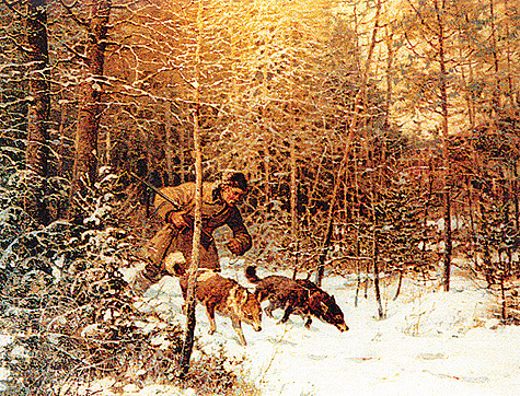 Изображение Е.А. Тихменев. По медвежьему следу (1903 г.). 