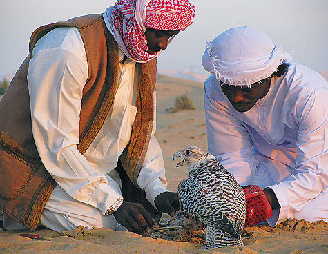 Изображение фото: Владимир Супруненко 