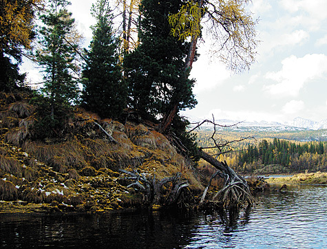 Изображение Фото: Александр Протасов