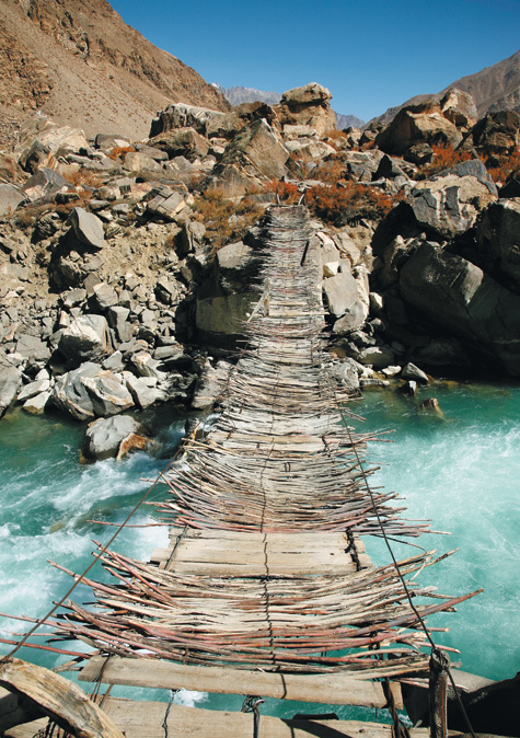 Изображение Фото: FOTOLIA 