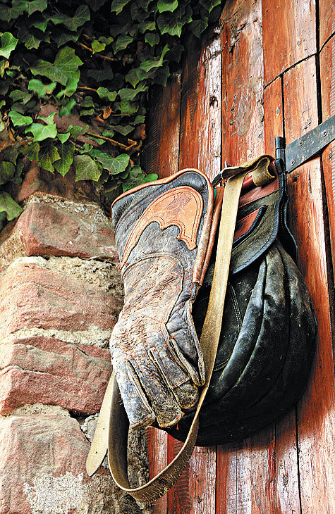 Изображение фото: Fotolia 