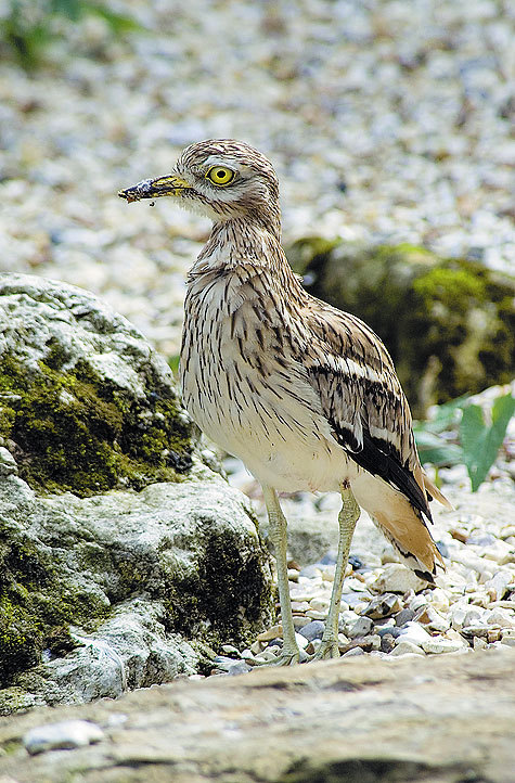 Изображение фото: Fotolia 