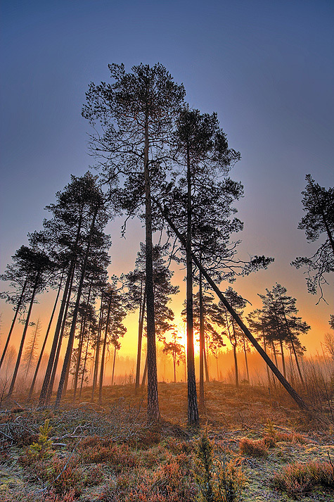 Изображение Фото: Петр Зверев 