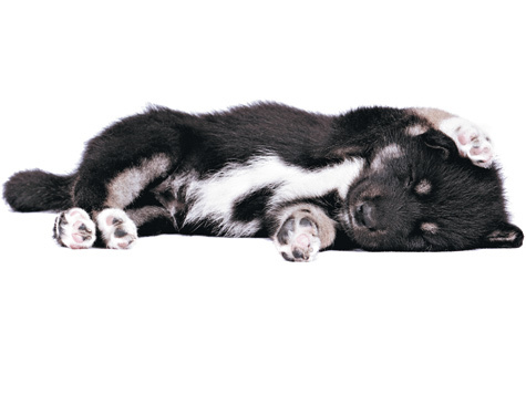 Изображение Фото: FOTOLIA