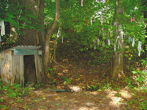 Изображение фото: Оксана Мерзлякова