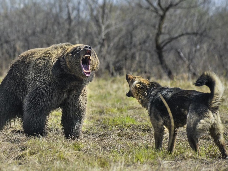 Изображение фото: Fotolia.com  