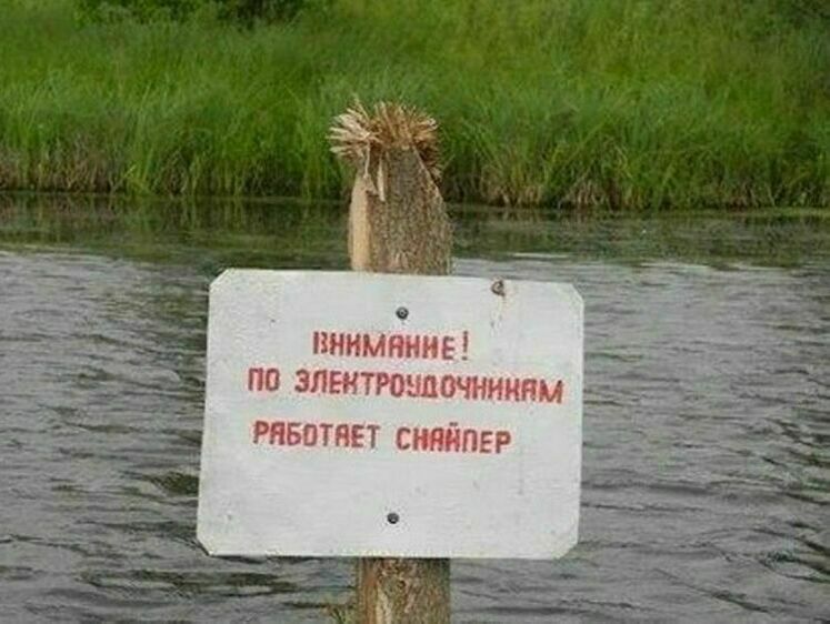 Изображение Электроудочники не оставляют в покое реки Кавказа