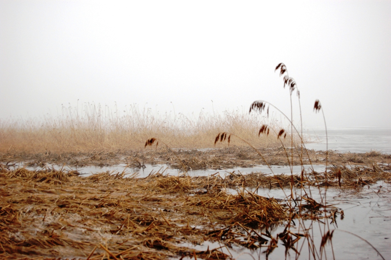 Изображение Фото: Яншевского Андрея.