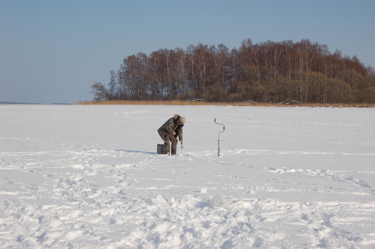 Изображение Фото: Яншевского Андрея.