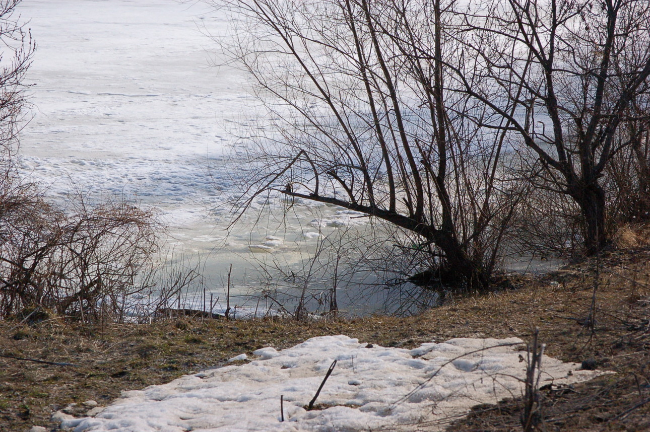 Изображение Фото: Яншевского Андрея.