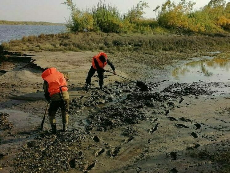 Изображение Мелиорация водоемов перед нерестом рыбы