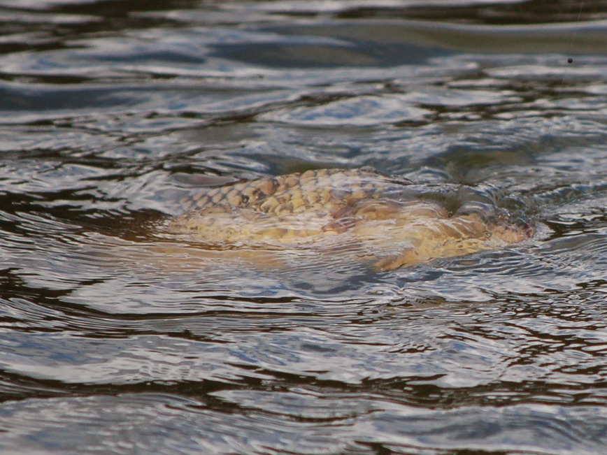 Изображение Фото: Яншевского Андрея.