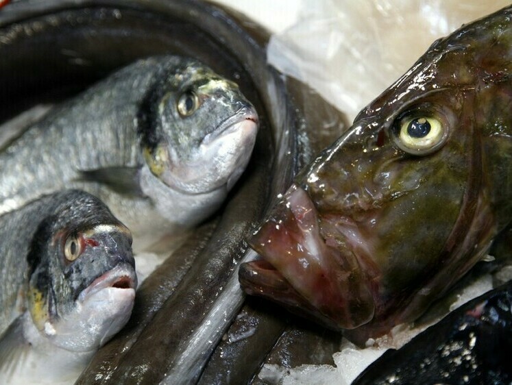 Изображение В России упали цены на мороженую рыбу