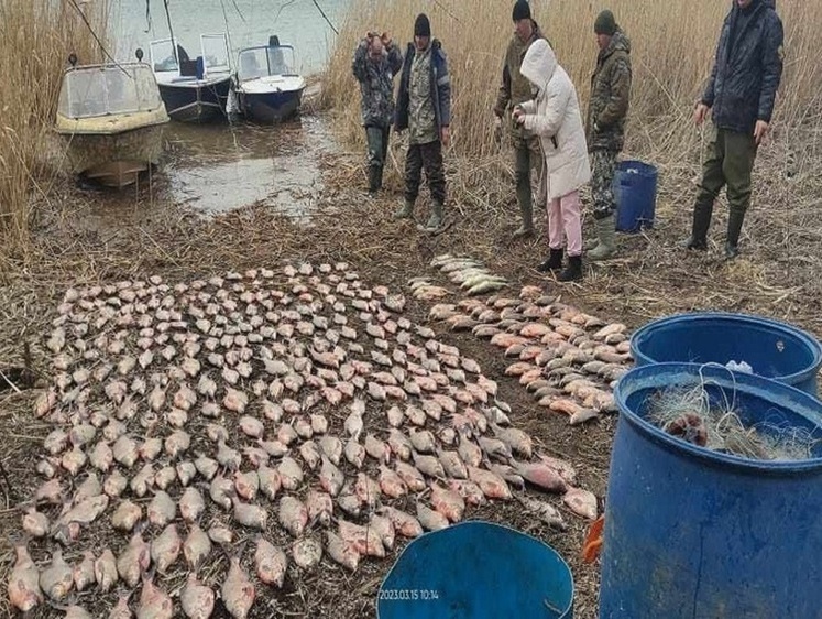 Изображение Цимлянское водохранилище пользуется спросом у браконьеров