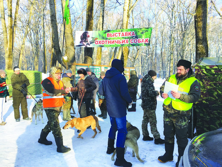 Изображение Вологодская выставка