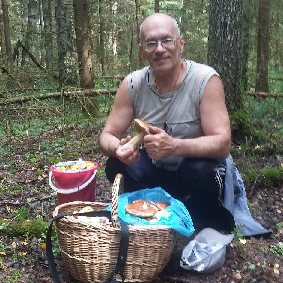 аватар пользователя