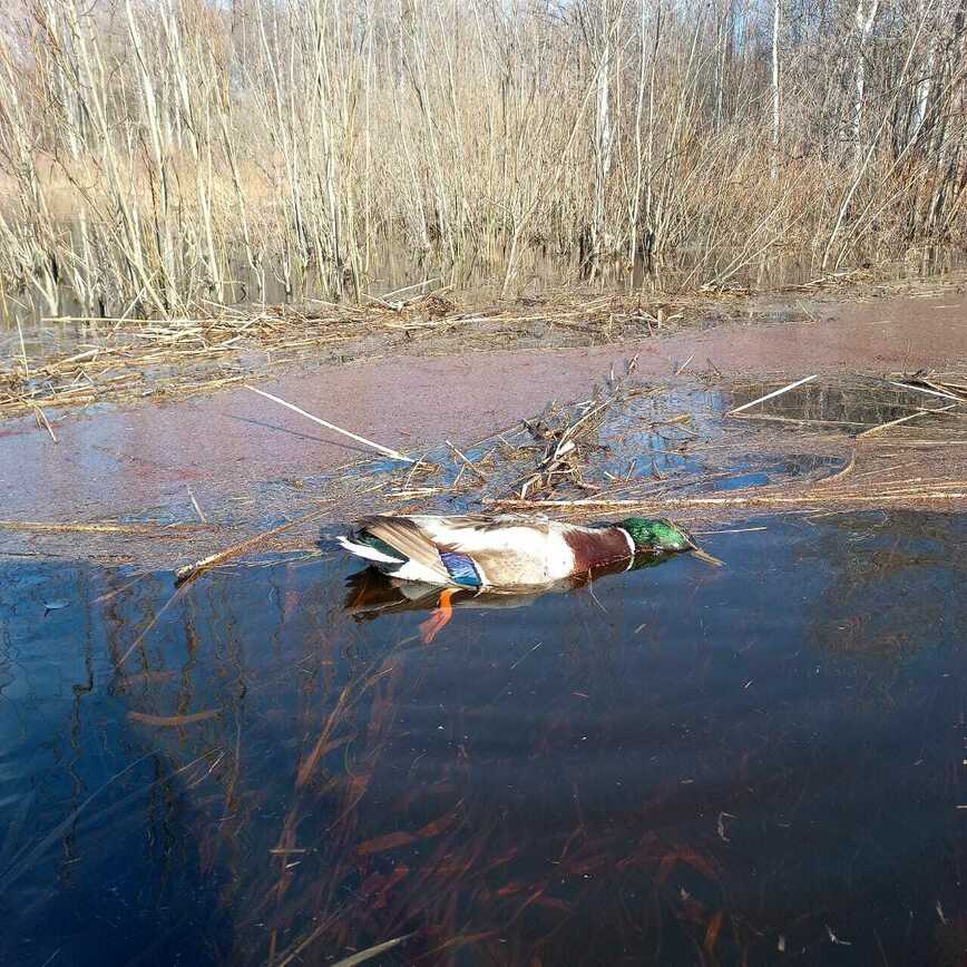 Изображение Фото Сергея Буслаева 