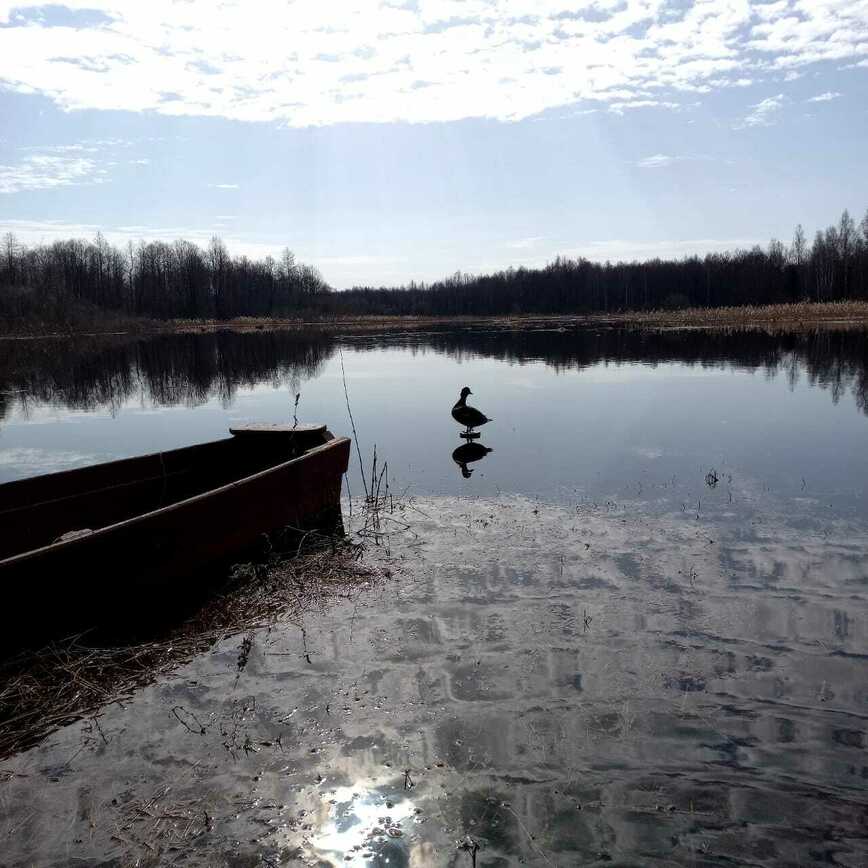 Изображение Фото Сергея Буслаева 