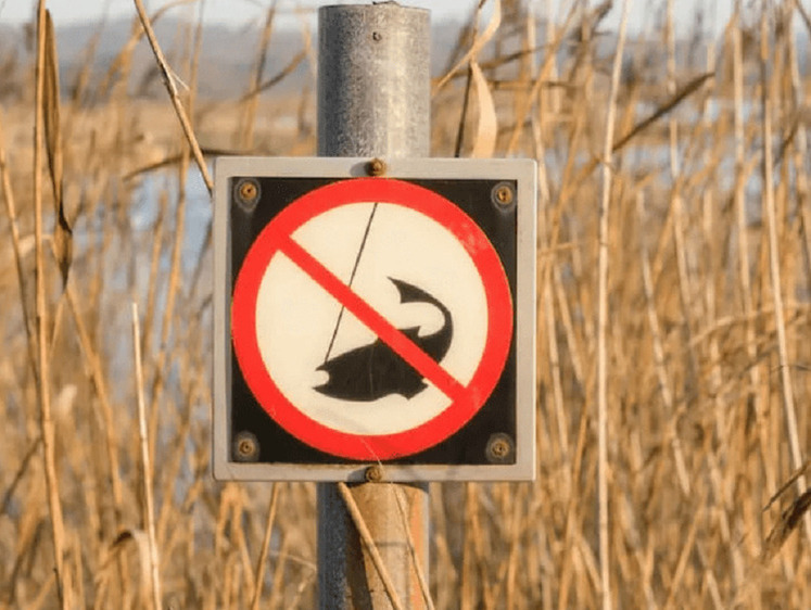 Нерестовый запрет 2024 в свердловской области. Нерестовый запрет. Рыбалка на Северном Кавказе. Запрет на рыбную ловлю.