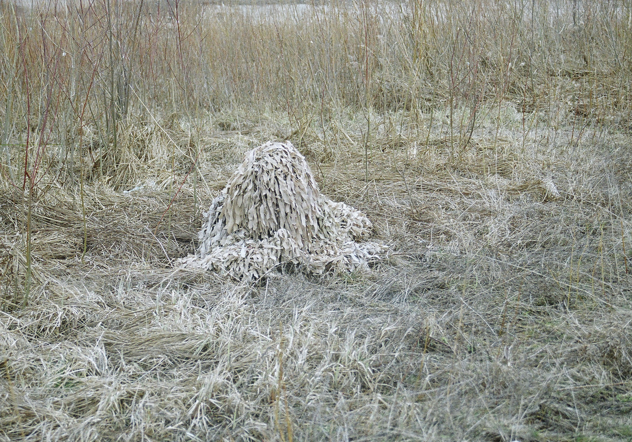 Изображение Фото автора