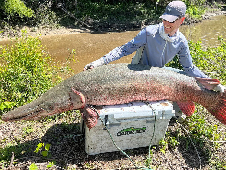 Изображение В США рыбак выловил крокодиловую щуку на 113 килограмм (фото)