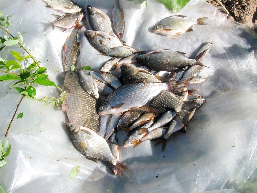 Изображение Фото: Токарева Александра. 