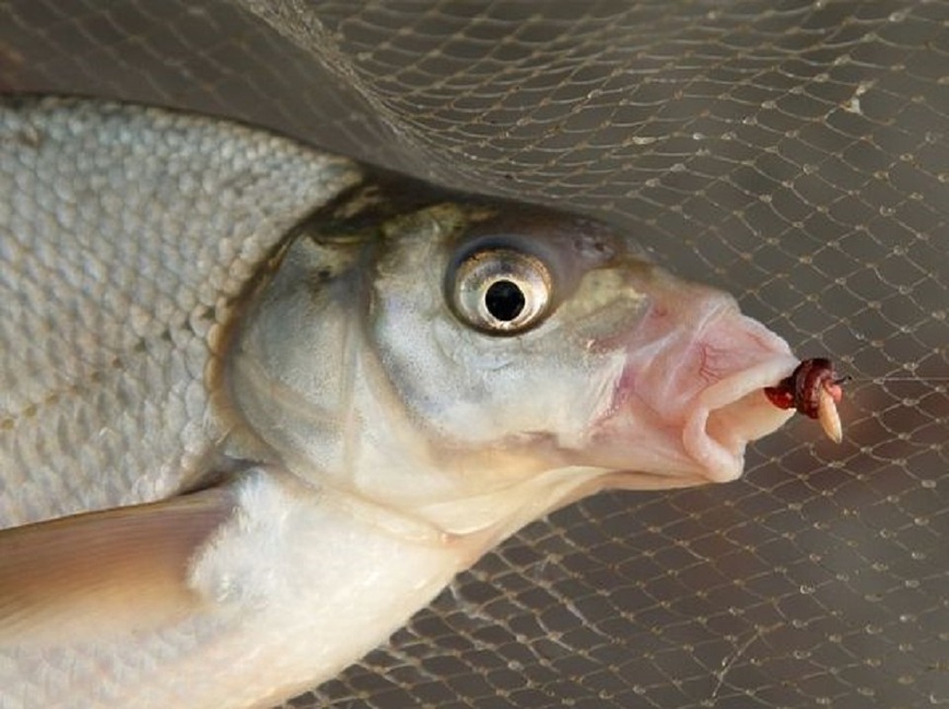 Изображение Фото: Кузнецова Евгения.