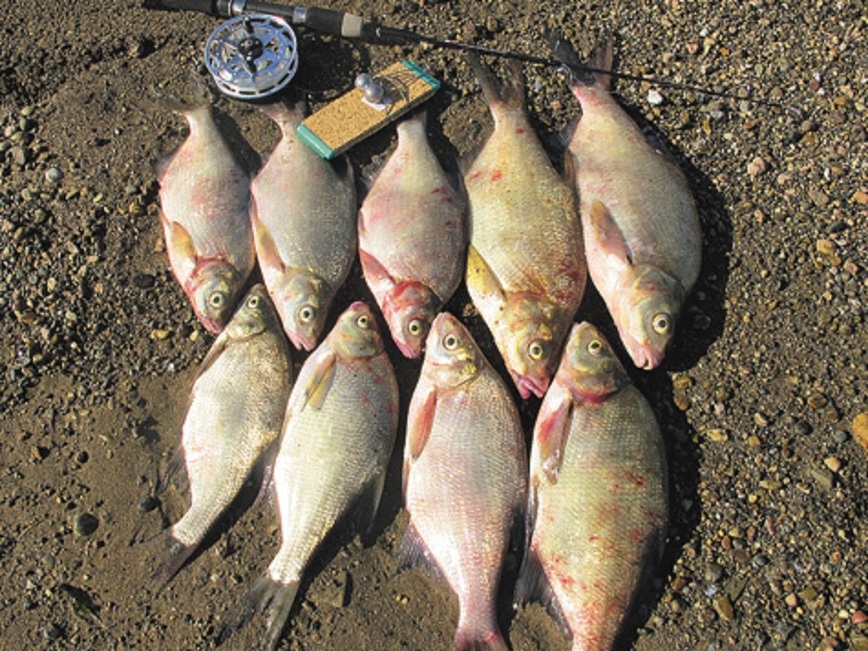 Изображение Фото: Елизарова Павла.