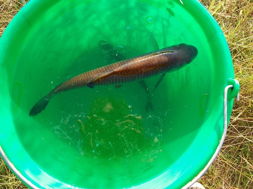 Изображение Фото: Яншевского Андрея.