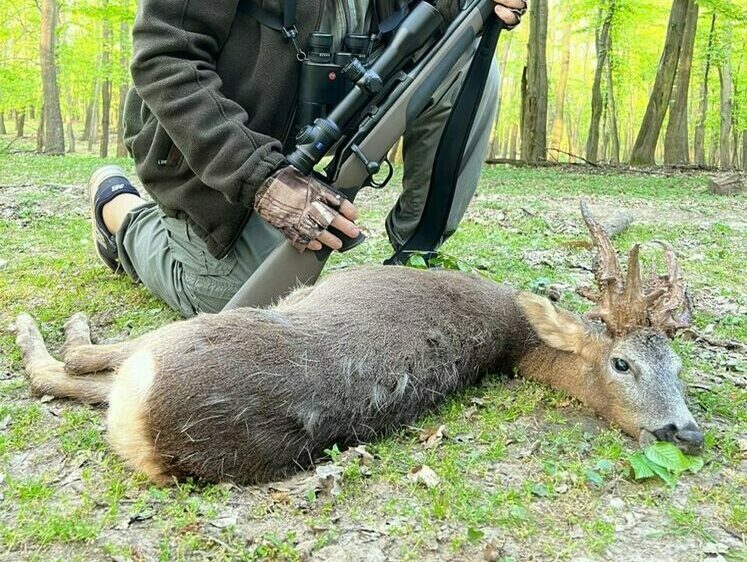 Изображение Российский охотник добыл в Венгрии необычную косулю своей мечты