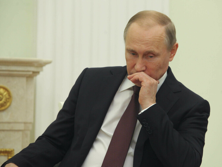 Достучались до Путина: ветеринары России о крахе сферы и увольнениях