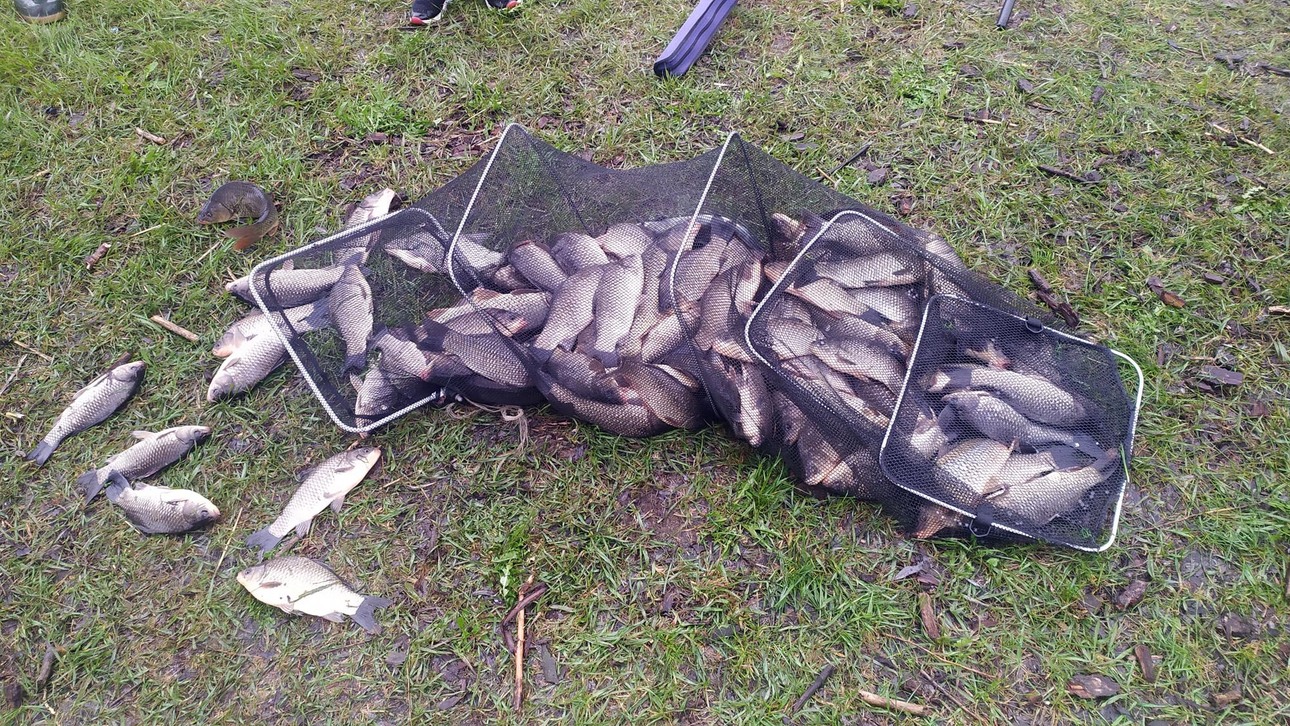 Изображение Фото: Коломийца Алексея. 