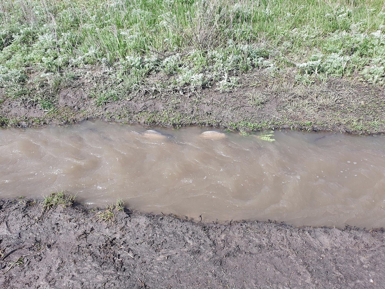Изображение Фото: Коломийца Алексея. 