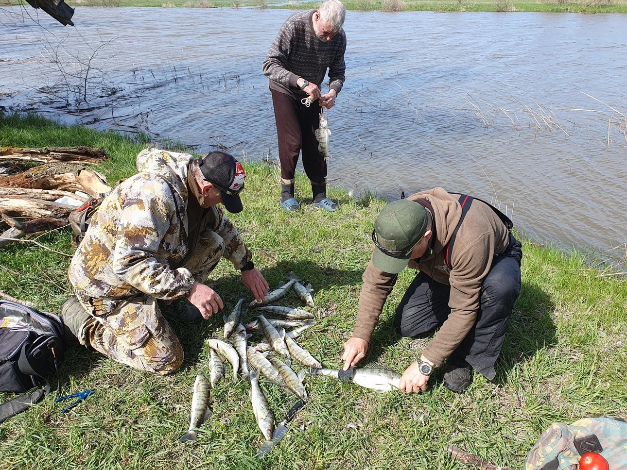 Изображение Фото: Коломийца Алексея. 