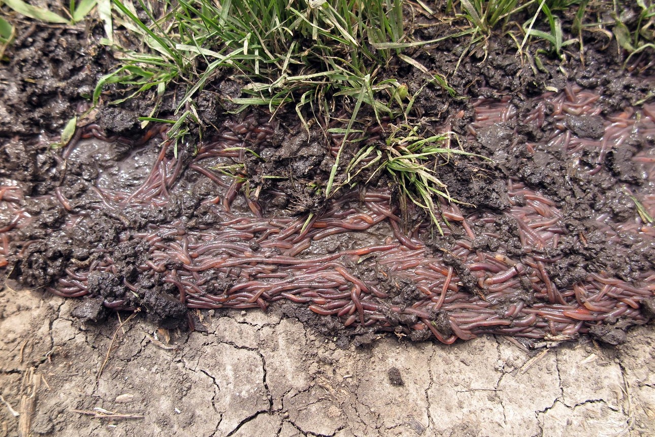 Изображение Фото: Коломийца Алексея. 