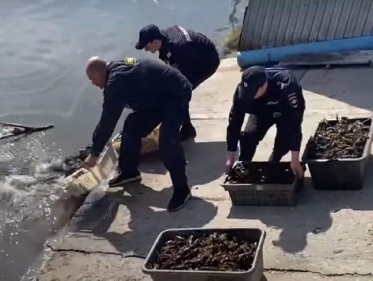 Изображение Полицейские отпустили почти 8 тысяч раков