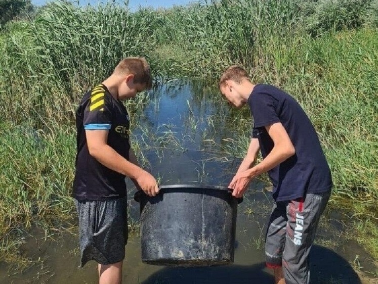 Изображение Из школьников формируют отряды спасения мальков  