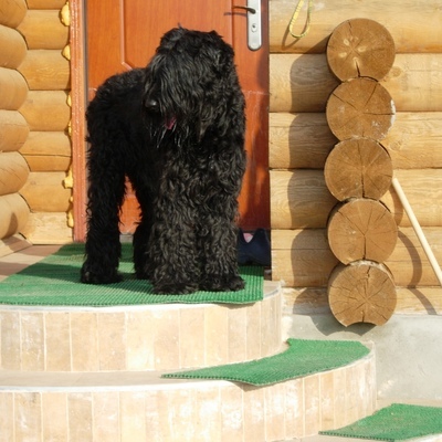 аватар пользователя