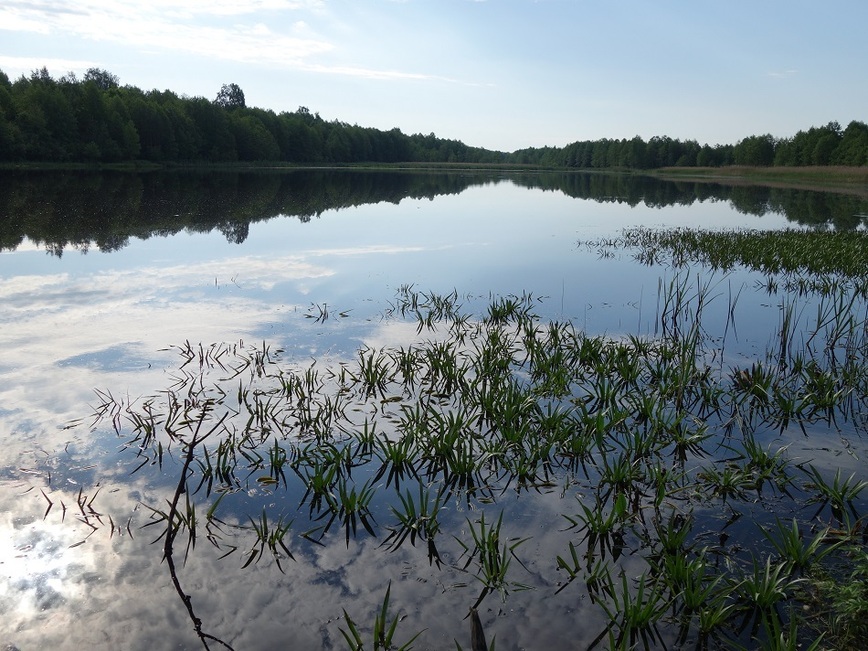 Изображение Фото: Линника Николая.