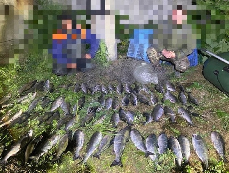 Изображение Сахалино-Курильская хроника борьбы с браконьерством
