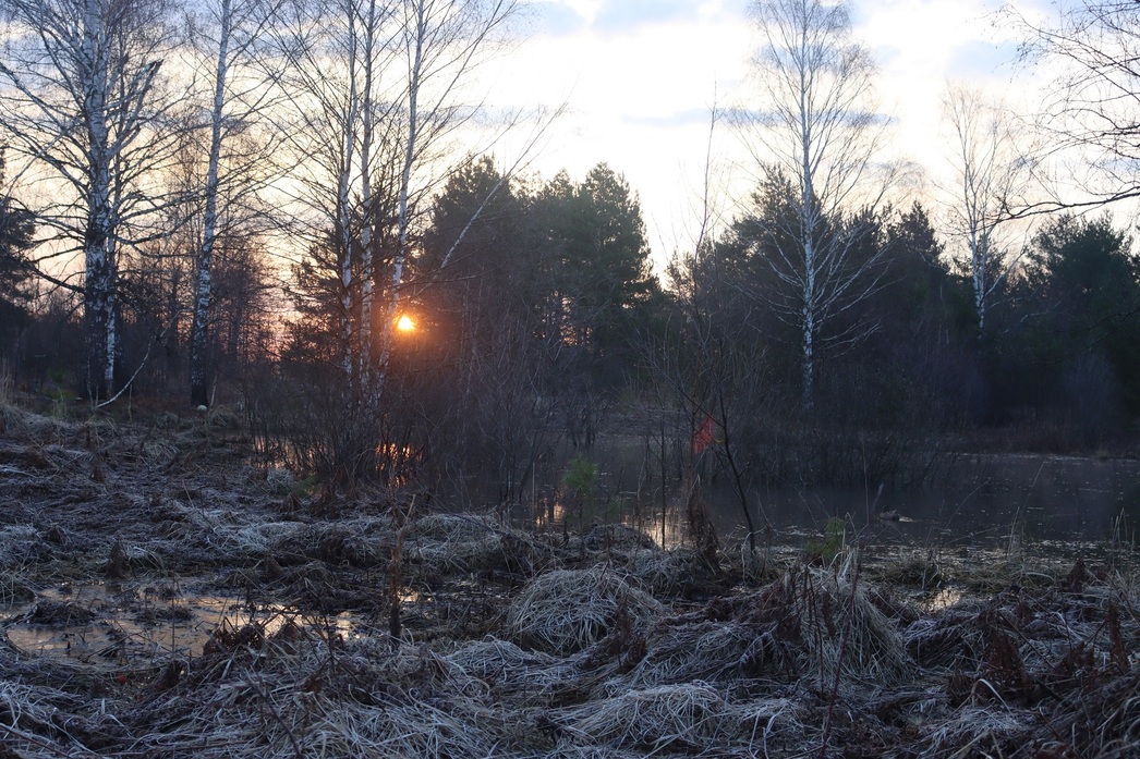 Изображение Встречаем восход солнца в шалаше