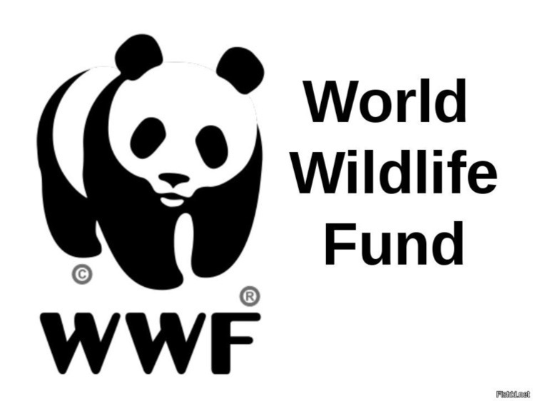 Изображение «WWF» попросили покинуть территорию России