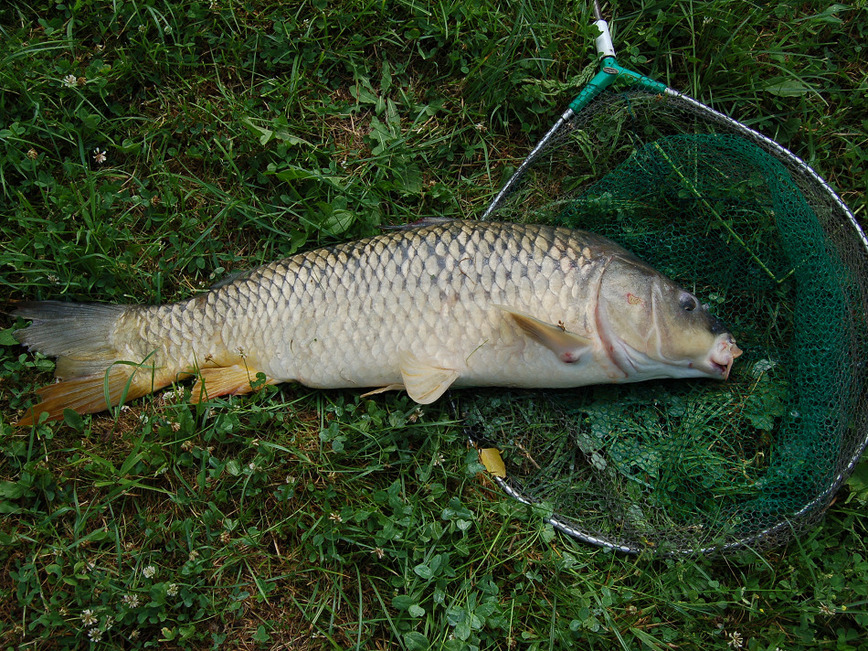 Изображение Фото: Яншевского Андрея. 