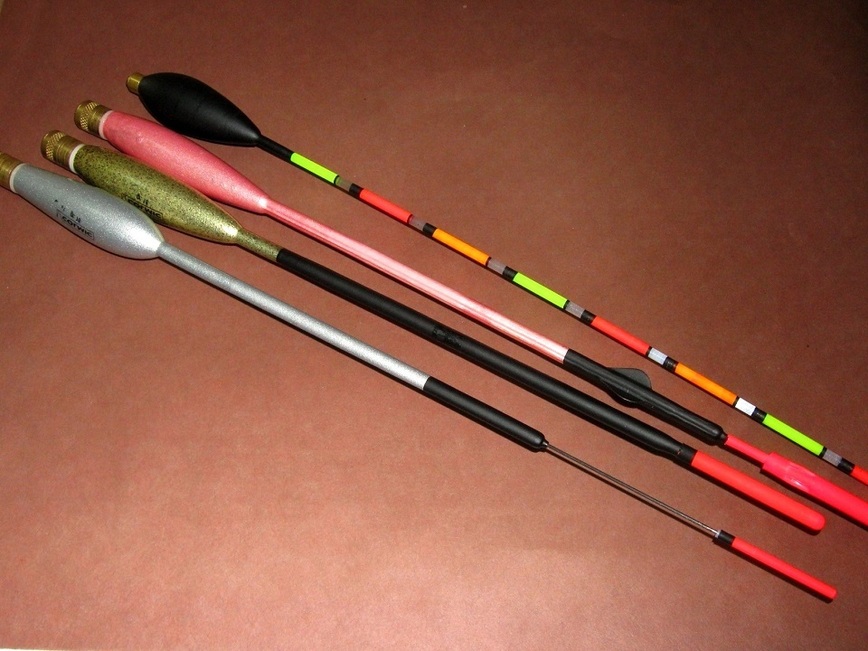 Изображение Фото: Токарева Александра. 