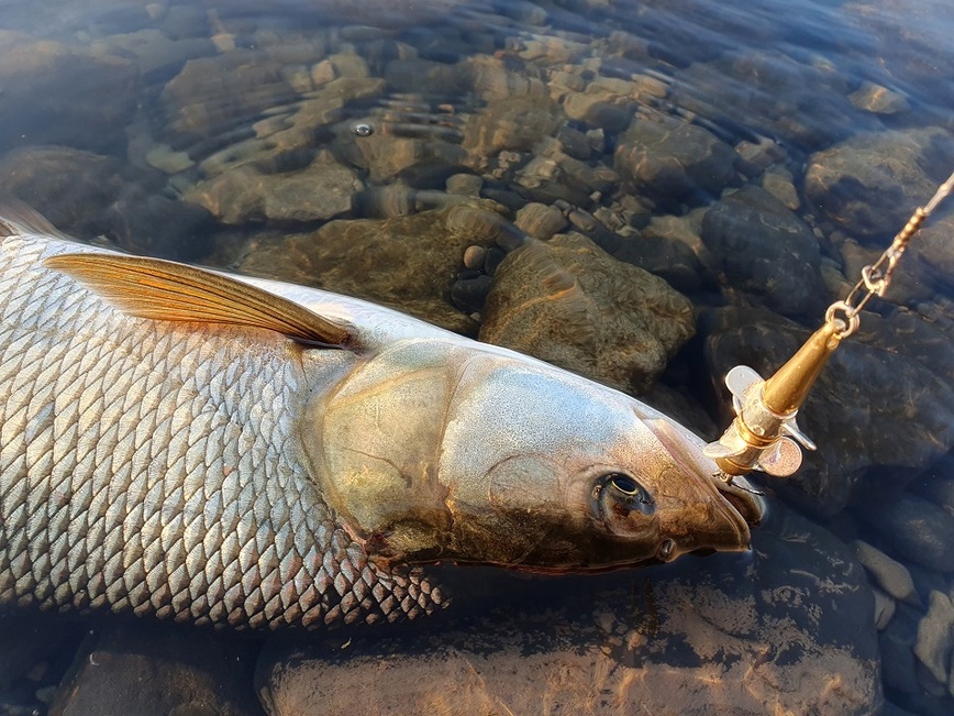 Изображение Фото: Коломийца Алексея. 