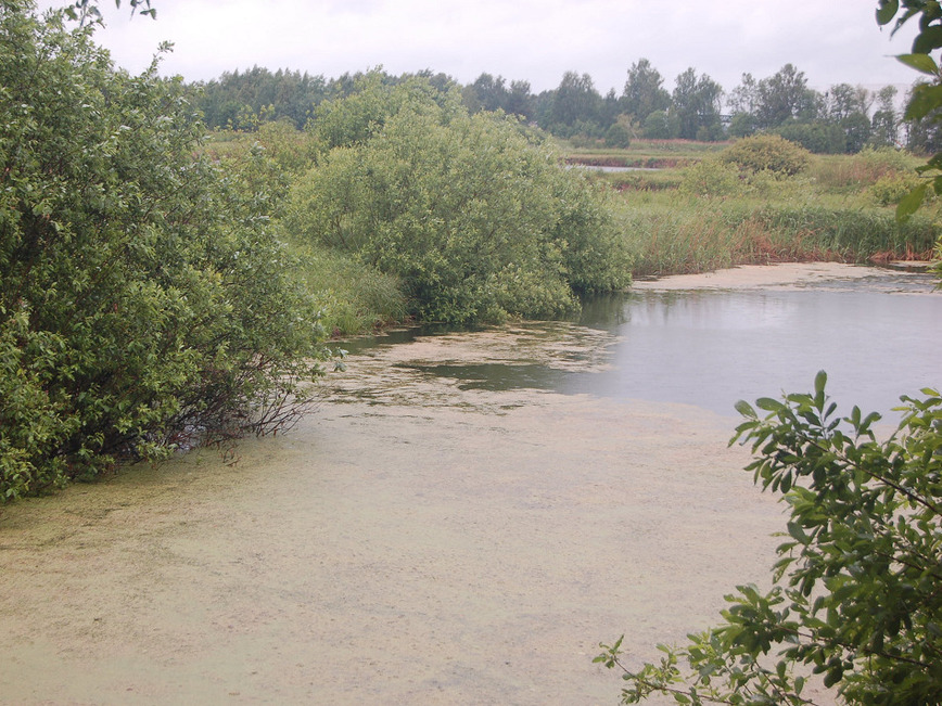 Изображение Фото: Яншевского Андрея. 